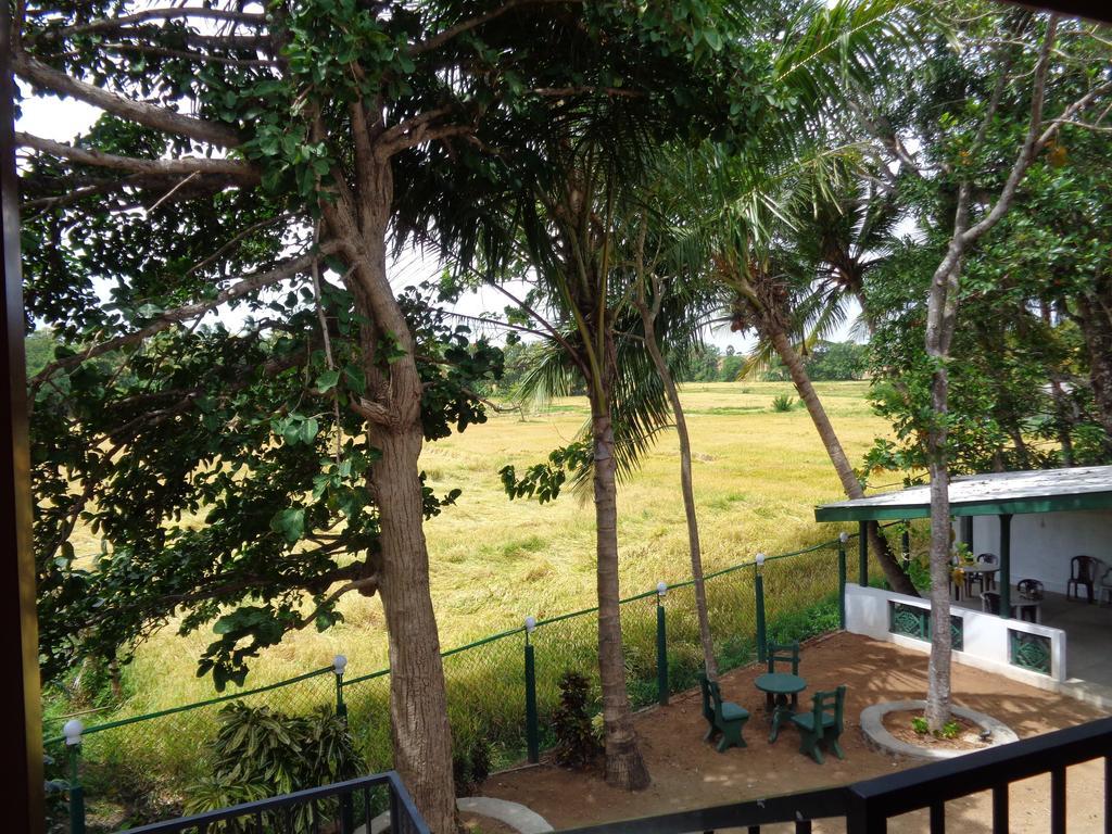 Man Guest Polonnaruwa Hotell Exteriör bild